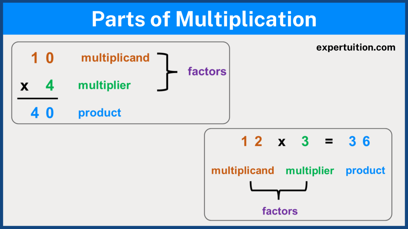 multiplication-strategies-for-grade-4-and-grade-5-expertuition